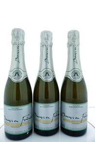Blanc de Blanc demi-sec