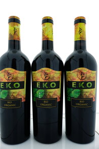 E.K.O. 2009