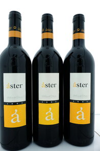 Áster Crianza 2002