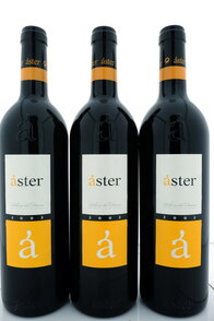 Áster Crianza 2002