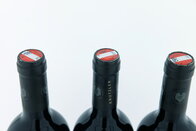 Selection Schwander Blaufränkinsch 2019