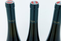 Loibner Ried Steinertal Grüner Veltliner 2021