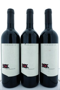 Pannobile  2009