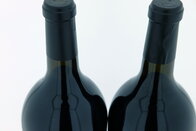 Barbera d'Alba Superiore 2005