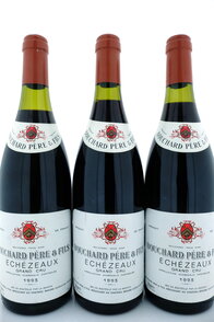 Echézeaux Grand Cru 1993